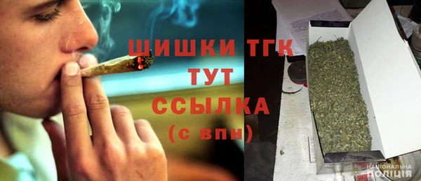 молекула духа Алексеевка