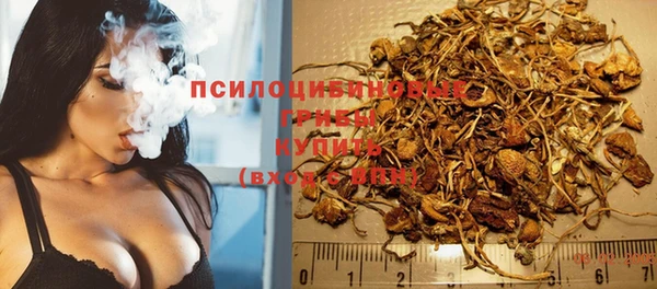 герыч Алексин