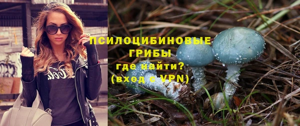 молекула духа Алексеевка
