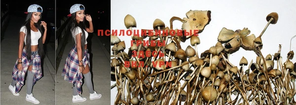 метадон Алзамай