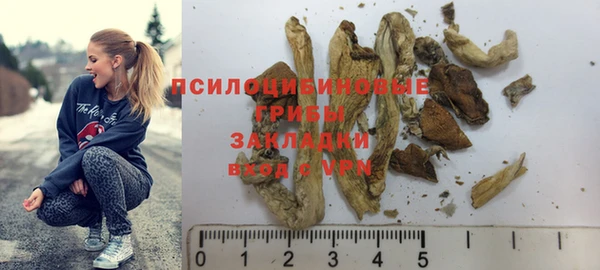 герыч Алексин